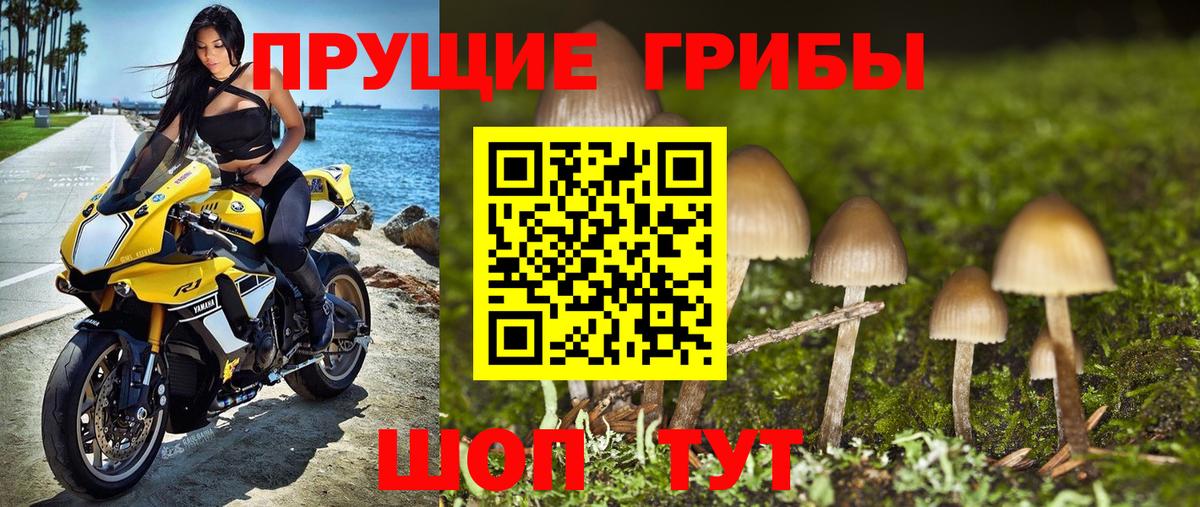 Псилоцибиновые грибы MAGIC MUSHROOMS Белогорск