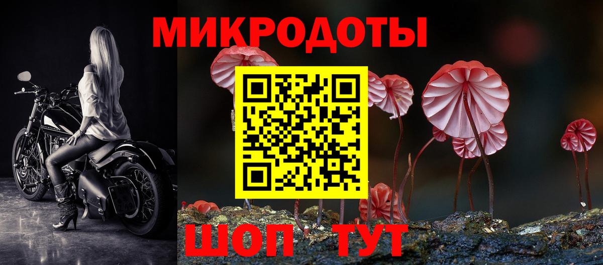 Белогорск  Галлюциногенные грибы мицелий  Вход с VPN 